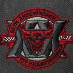 Born And Bred Fitted Hwc Chicago Bulls