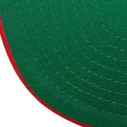 Breakthrough Snapback Hwc Toronto Raptors