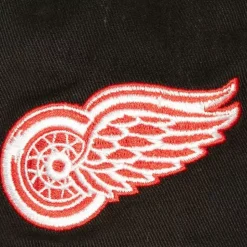 Brushed Past Ya Pro Snapback Vntg Detroit Red Wings