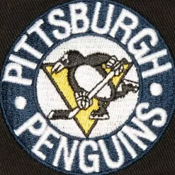 Brushed Past Ya Pro Snapback Vntg Pittsburgh Penguins