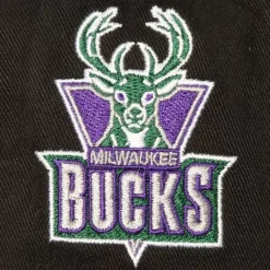 Brushed Past Ya Pro Snapback Hwc Milwaukee Bucks