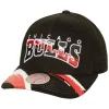 Brushed Past Ya Pro Snapback Chicago Bulls