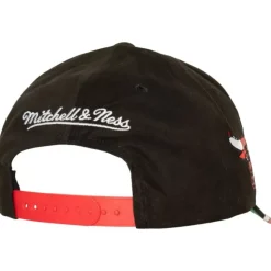 Brushed Past Ya Pro Snapback Chicago Bulls