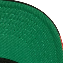 Brushed Past Ya Pro Snapback Chicago Bulls