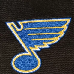 Brushed Past Ya Pro Snapback Vntg St. Louis Blues