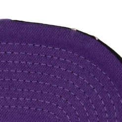 Burst Deadstock Snapback Los Angeles Lakers