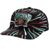 Burst Deadstock Snapback Hwc Vancouver Grizzlies