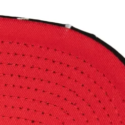 Burst Deadstock Snapback Hwc Vancouver Grizzlies