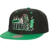 Buzz Snapback Boston Celtics