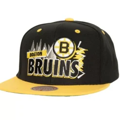 Buzz Snapback Vntg Boston Bruins