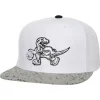 Cement Top Snapback Hwc Toronto Raptors