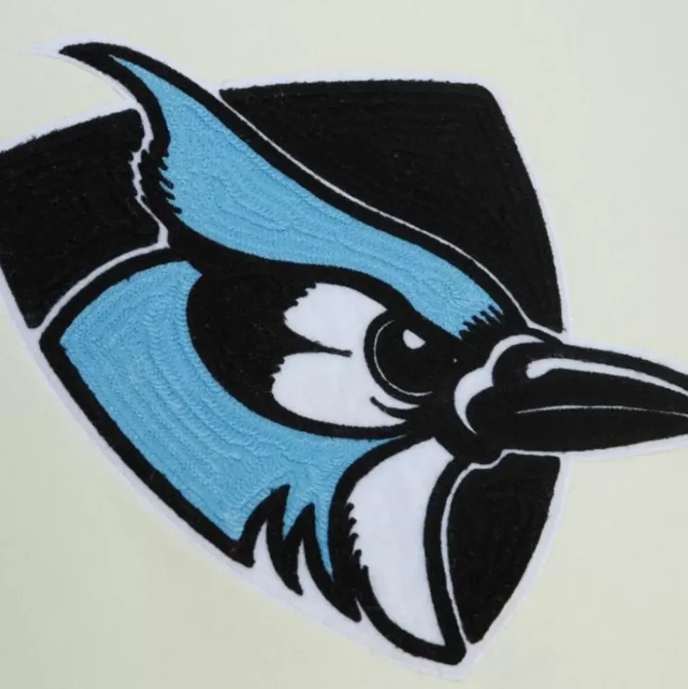 Chainstitch Heavyweight Hoodie Current Johns Hopkins University