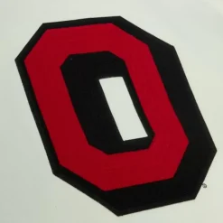 Chainstitch Heavyweight Hoodie Retro Ohio State