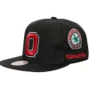 Champ City Snapback Ohio State