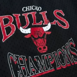 Champions Era Hwc Swingman Chicago Bulls Shorts