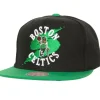 Circle Splash Snapback Boston Celtics