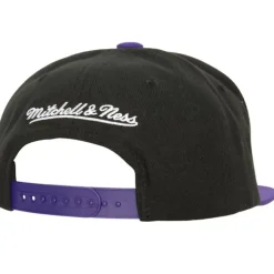 Circle Splash Snapback Hwc Toronto Raptors