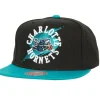 Circle Splash Snapback Hwc Charlotte Hornets