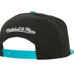 Circle Splash Snapback Hwc Charlotte Hornets