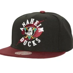 Circle Splash Snapback Vntg Anaheim Ducks