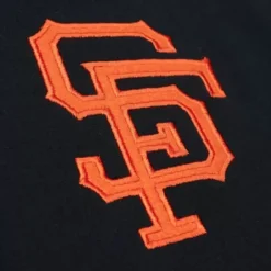 City Collection Fleece Hoody San Francisco Giants
