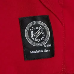 City Collection Fleece Hoody Detroit Red Wings