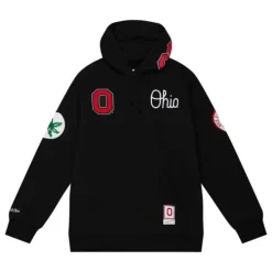 City Collection Fleece Hoody Ohio State