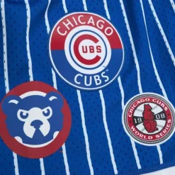 City Collection Mesh Shorts Chicago Cubs