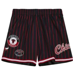 City Collection Mesh Shorts Chicago Bulls