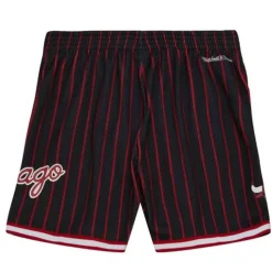 City Collection Mesh Shorts Chicago Bulls