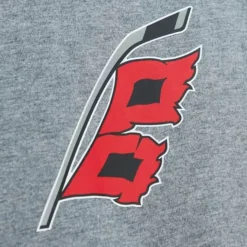 City Collection Ss Tee Carolina Hurricanes