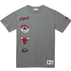 City Collection Ss Tee Chicago Bulls