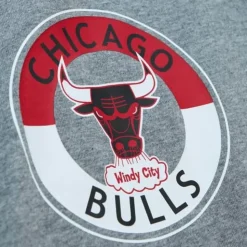 City Collection Ss Tee Chicago Bulls