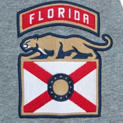 City Collection Ss Tee Florida Panthers