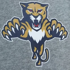 City Collection Ss Tee Florida Panthers