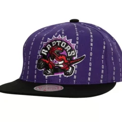 City Pinstripe Deadstock Hwc Toronto Raptors