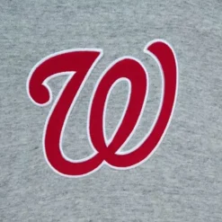 Classic French Terry Hoodie Washington Nationals