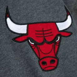 Classic French Terry Hoody Chicago Bulls