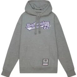 College Tailsweep Pullover Northwestern University