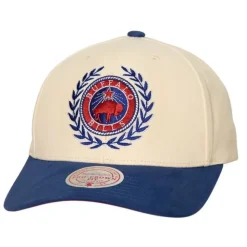 Collegiate Pro Snapback Buffalo Bills