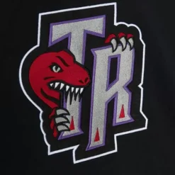 Color Blocked Fleece 2.0 Toronto Raptors