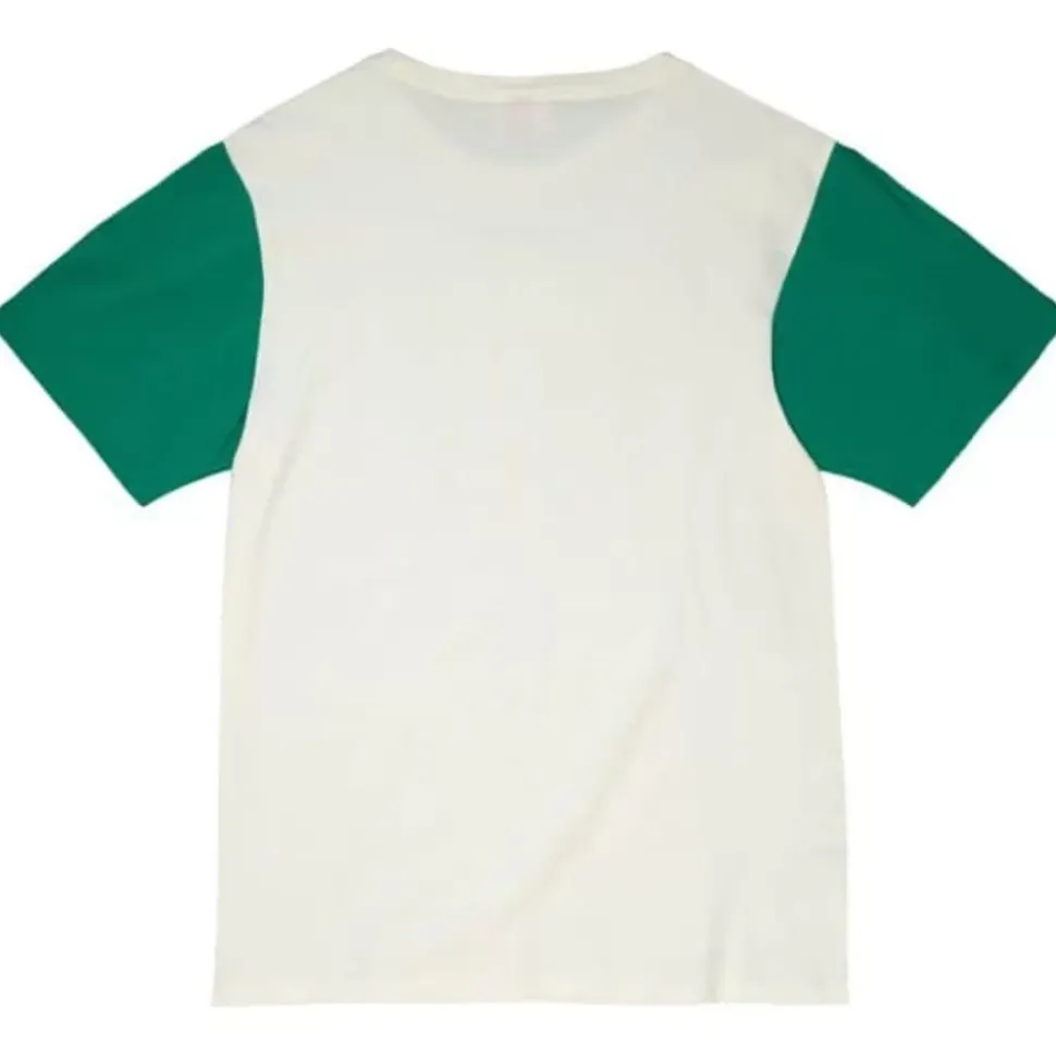 Color Blocked S/S Tee Boston Celtics