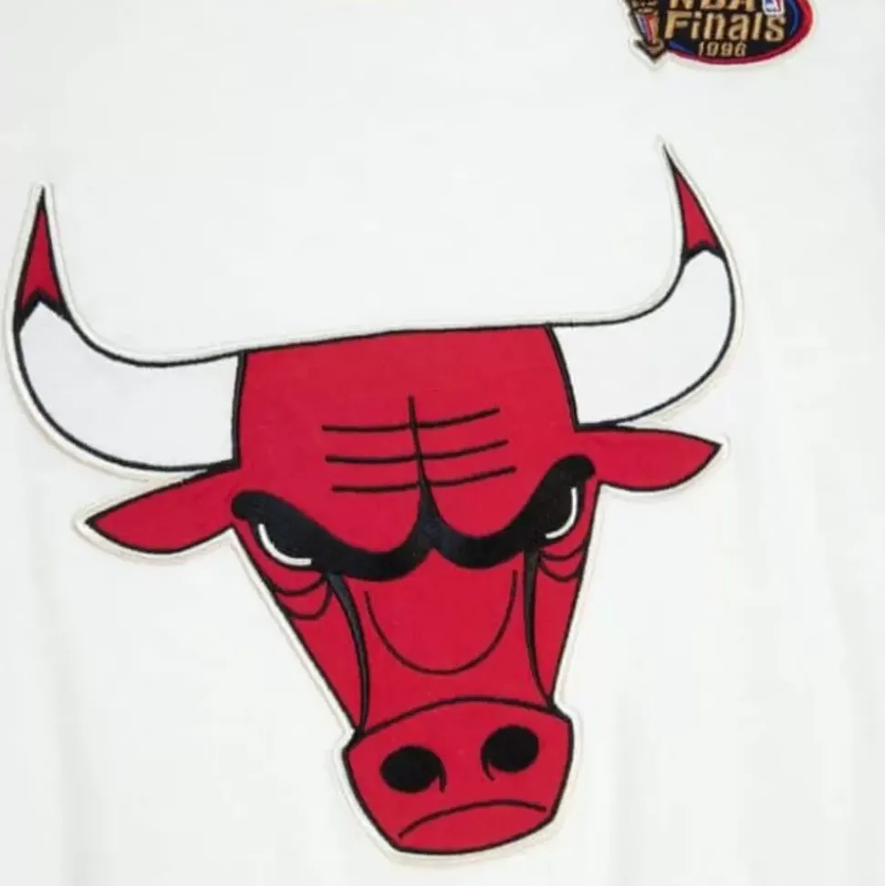 Color Blocked S/S Tee Chicago Bulls