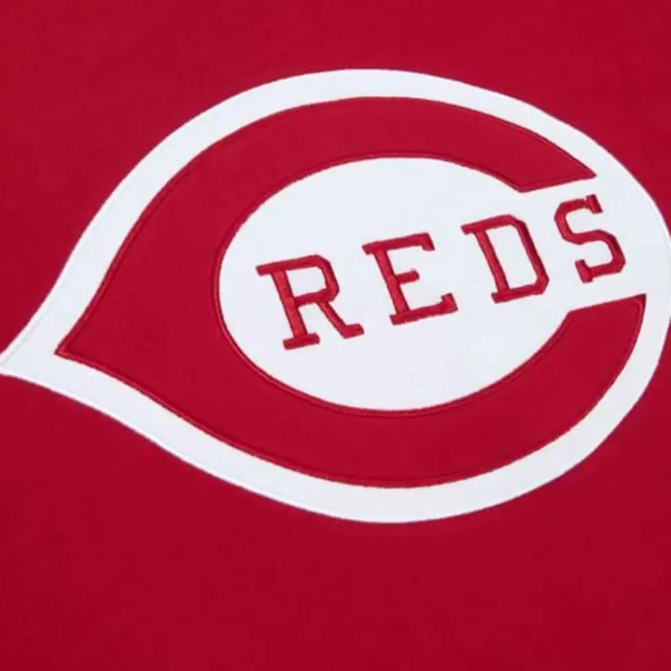 Color Blocked Ss Tee Cincinnati Reds