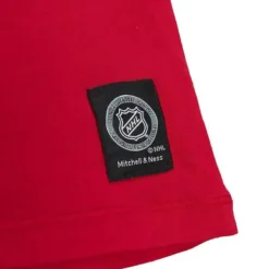 Color Blocked Ss Tee Detroit Red Wings