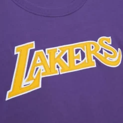 Color Blocked Ss Tee Los Angeles Lakers