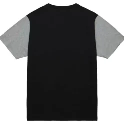 Color Blocked Ss Tee Oakland Raiders