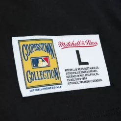 Color Blocked Ss Tee Pittsburgh Pirates