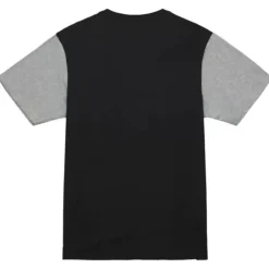 Color Blocked Ss Tee Pittsburgh Penguins