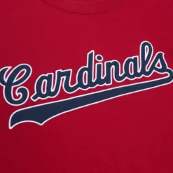 Color Blocked Ss Tee St. Louis Cardinals